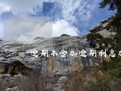 逾期本金加逾期利息加逾期罚息 逾期本金加逾期利息加逾期罚息