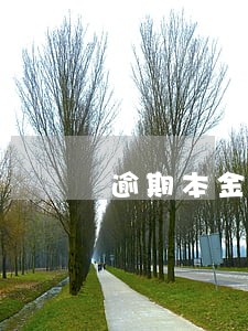 逾期本金包括逾期利息吗 逾期本金包括逾期利息吗