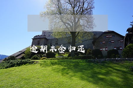 逾期本金归还
