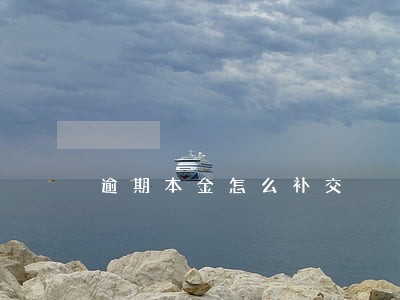 逾期本金怎么补交 逾期本金怎么补交