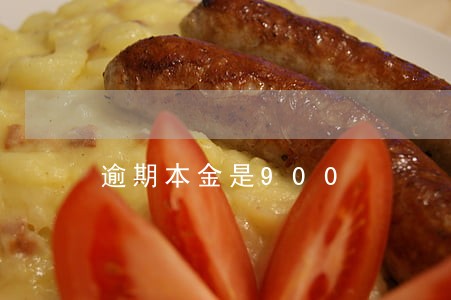 逾期本金是900 逾期本金是900