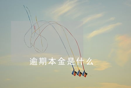 逾期本金是什么 逾期本金是什么