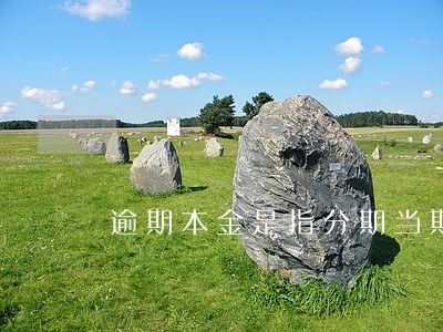 逾期本金是指分期当期的吗 逾期本金是指分期当期的吗