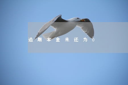 逾期本金未还为0 逾期本金未还为0