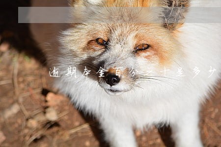 逾期本金百分之十是多少 逾期本金百分之十是多少