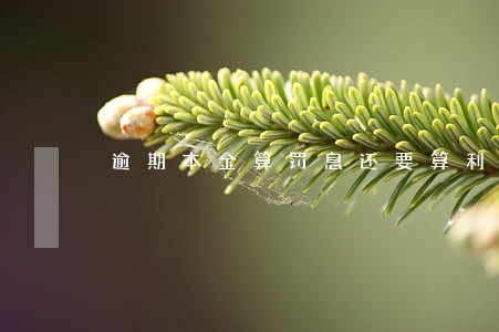 逾期本金算罚息还要算利息 逾期本金算罚息还要算利息