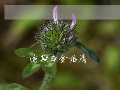 逾期本金结清