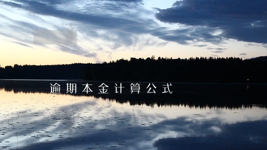 逾期本金计算公式