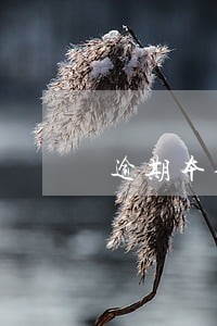 逾期本金贷款可以展期 逾期本金贷款可以展期