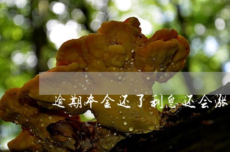 逾期本金还了利息还会涨吗 逾期本金还了利息还会涨吗