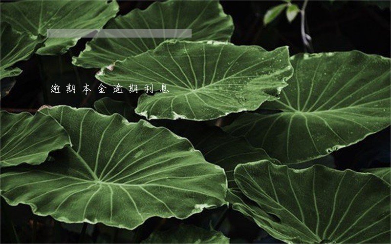 逾期本金逾期利息 逾期本金逾期利息
