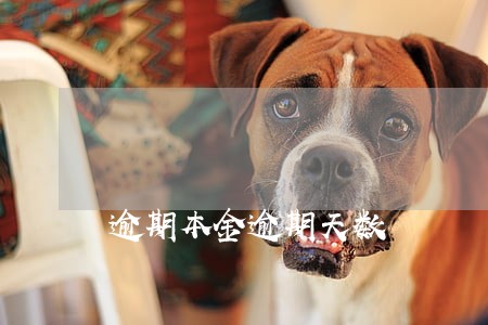 逾期本金逾期天数 逾期本金逾期天数