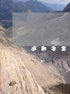 逾期本金逾期本息 逾期本金逾期本息