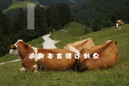 逾期本金错还利息 逾期本金错还利息
