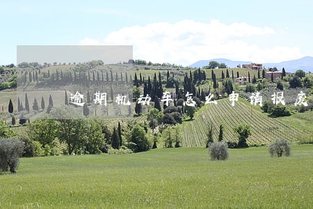 逾期机动车怎么申请报废 逾期机动车怎么申请报废