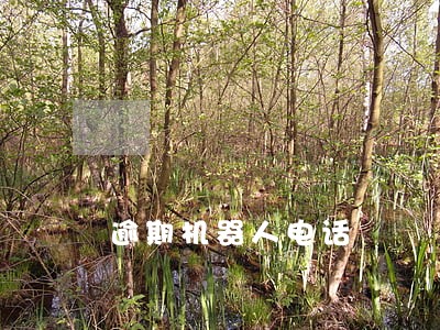 逾期机器人电话 逾期机器人电话