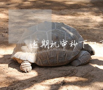 逾期机审秒下口子 逾期机审秒下口子