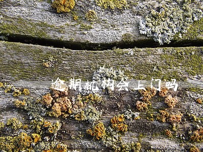 逾期机构会上门吗 逾期机构会上门吗