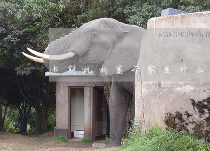 逾期机构显示家是什么意思 逾期机构显示家是什么意思