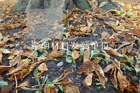 逾期材料发到单位 逾期材料发到单位