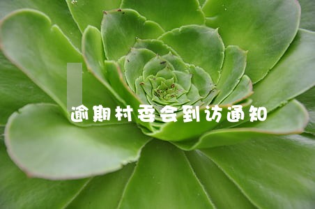 逾期村委会到访通知 逾期村委会到访通知
