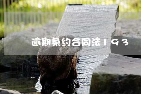 逾期条约合同法193 逾期条约合同法193
