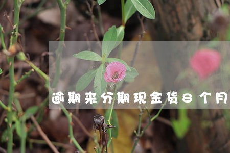 逾期来分期现金货8个月没还 逾期来分期现金货8个月没还
