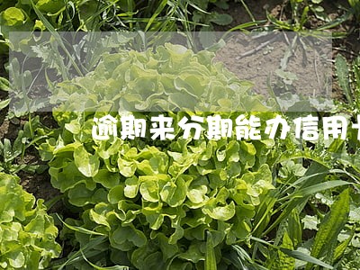 逾期来分期能办信用卡吗 逾期来分期能办信用卡吗