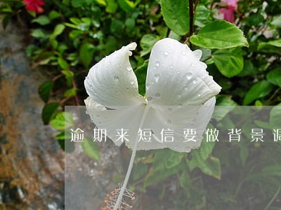 逾期来短信要做背景调查 逾期来短信要做背景调查