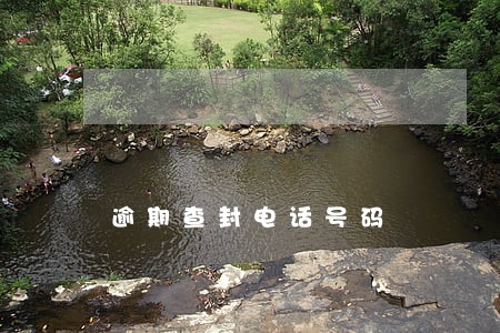 逾期查封电话号码 逾期查封电话号码