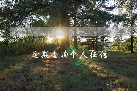 逾期查询个人征信