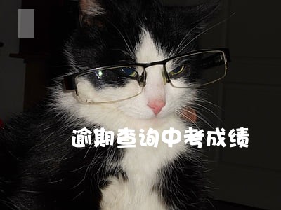 逾期查询中考成绩 逾期查询中考成绩