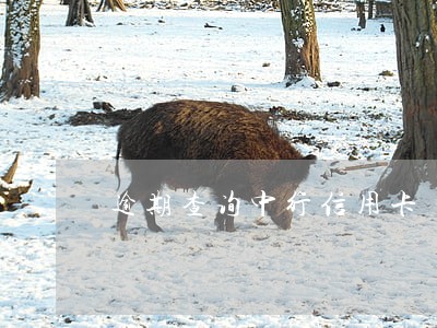 逾期查询中行信用卡 逾期查询中行信用卡