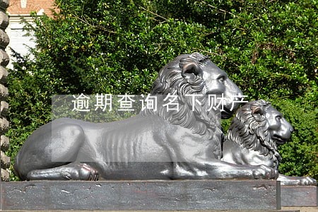逾期查询名下财产 逾期查询名下财产