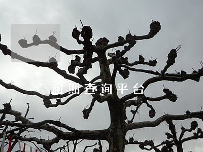 逾期查询平台 逾期查询平台