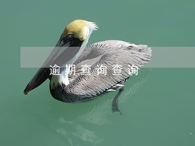 逾期查询查询 逾期查询查询