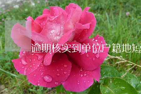 逾期核实到单位户籍地短信 逾期核实到单位户籍地短信