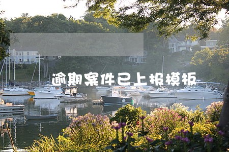 逾期案件已上报模板