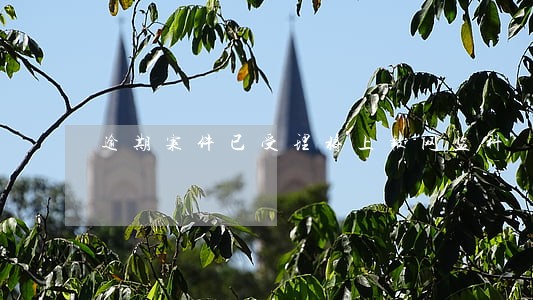 逾期案件已受理将上报网监科 逾期案件已受理将上报网监科