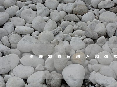 逾期案件已进入司法仲裁 逾期案件已进入司法仲裁