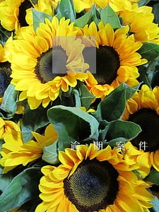 逾期案件提醒岗位 逾期案件提醒岗位