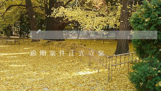 逾期案件正式立案 逾期案件正式立案