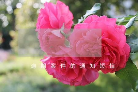 逾期案件的通知短信 逾期案件的通知短信