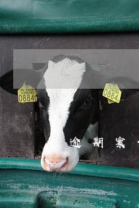 逾期案件进入仲裁阶段