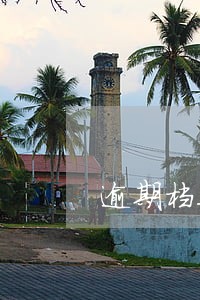 逾期档案未归还的通知 逾期档案未归还的通知