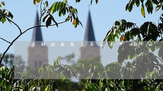 逾期档案袋上面写着申请诉讼 逾期档案袋上面写着申请诉讼