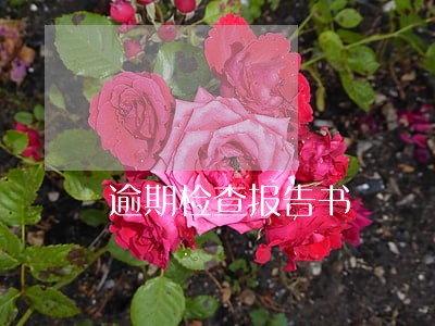 逾期检查报告书 逾期检查报告书