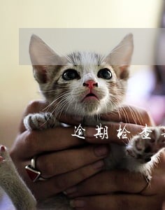 逾期检查罚款在哪交 逾期检查罚款在哪交