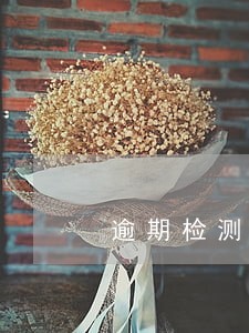 逾期检测会罚款吗