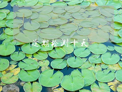逾期检测十天